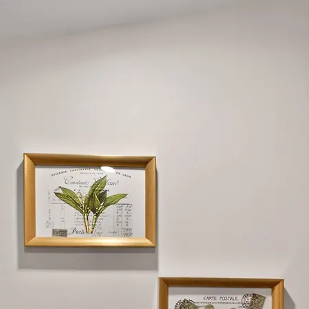 Nest Close To The